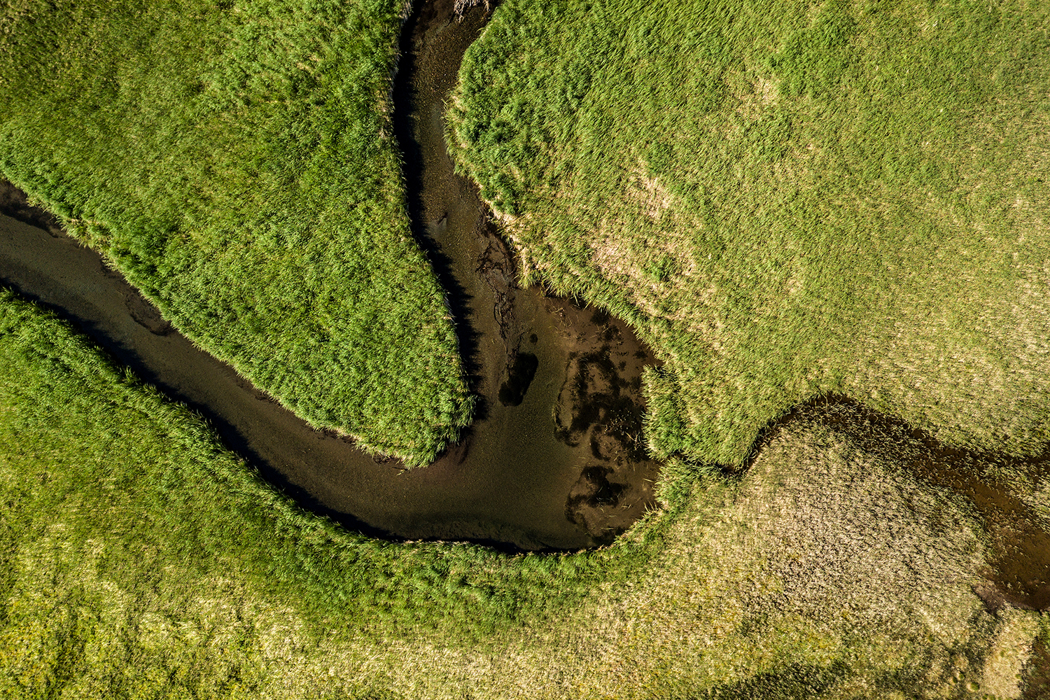 best drone photos alaska creek