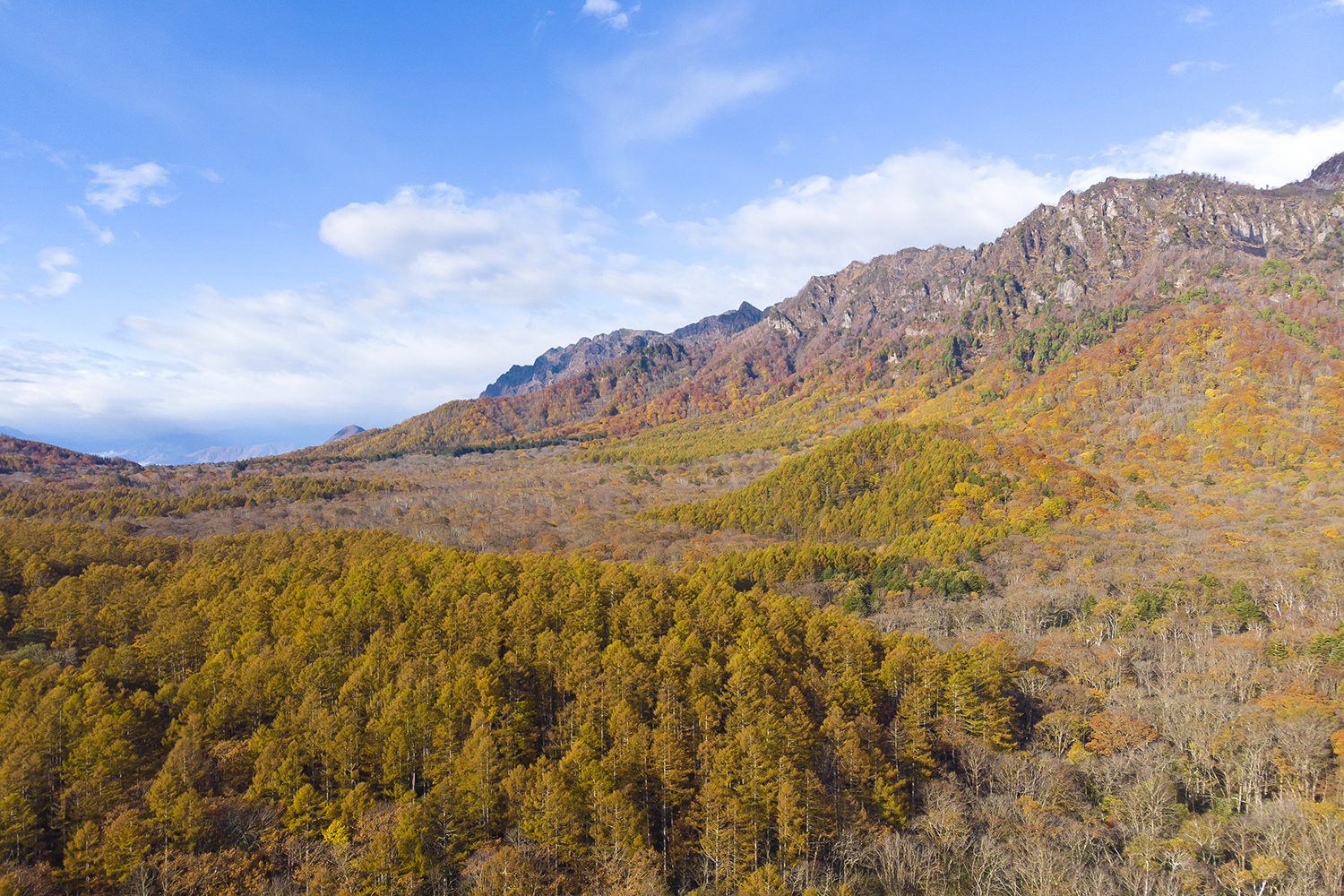 best drone photos view of mt togakushi in autumn