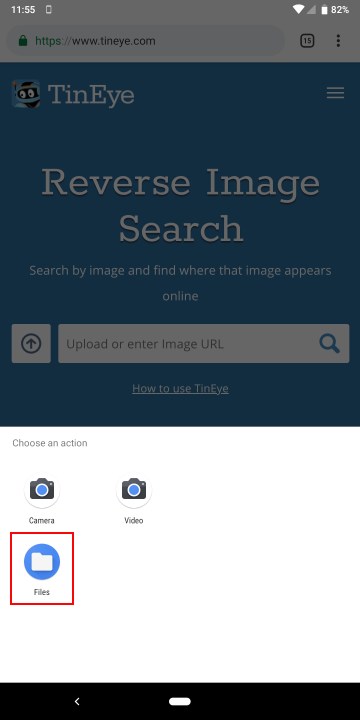 How to reverse search an image on TinEye.