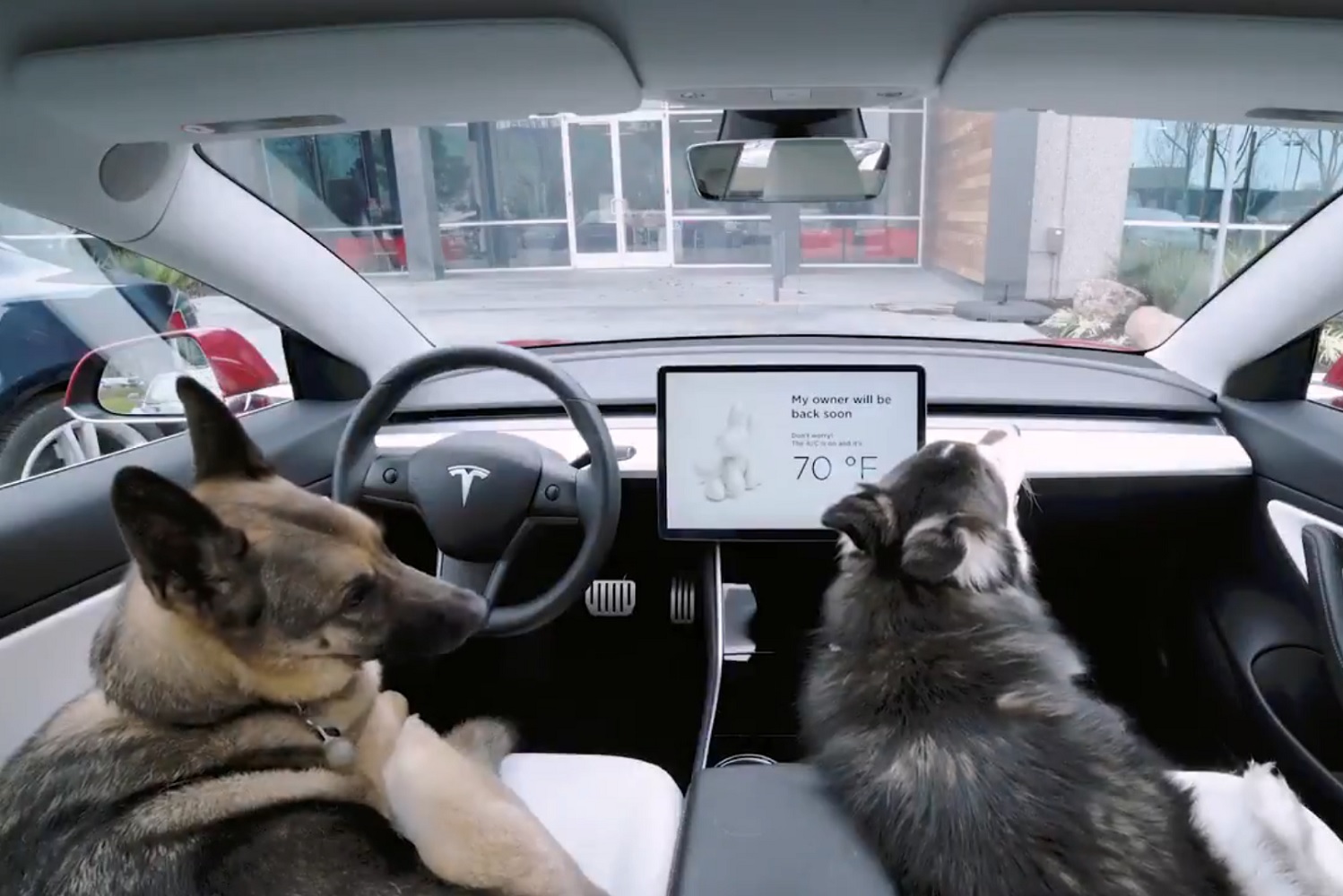 Tesla’s Dog Mode Lets Good Samaritans Know That Fido’s A-OK | Digital ...
