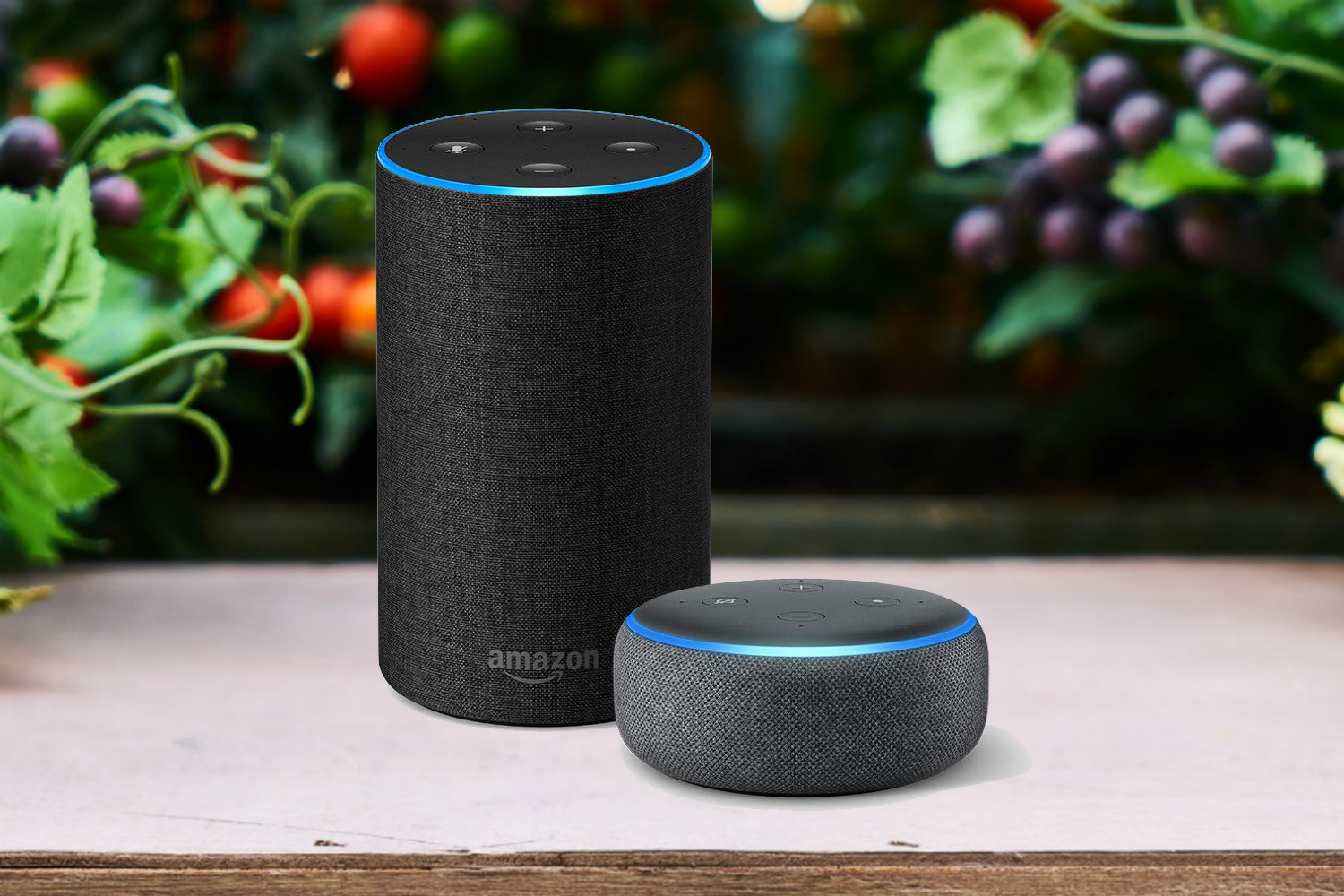 Умная колонка за голосование. Колонка Амазон Алекса. Колонка Echo Amazon. Умная колонка Amazon Alexa. Голосовой помощник Амазон Алекса.