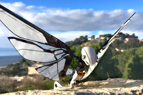 reparatøren Gangster gift Insect-Inspired Robot Uses Wings to Fly Like a Drone | Digital Trends