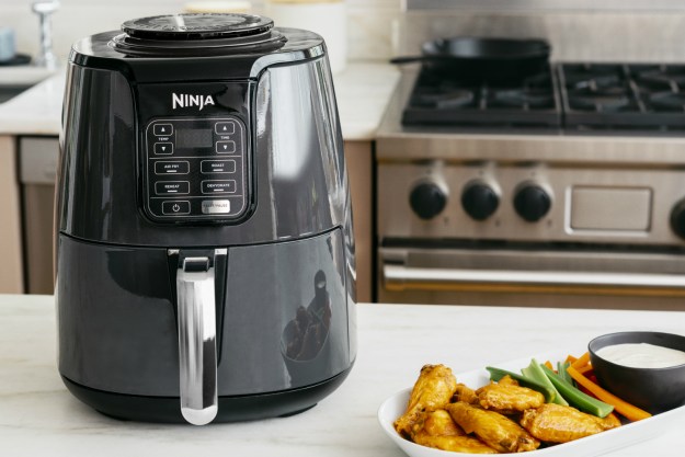 Ninja AF161 Max XL Air Fryer that Cooks Review 