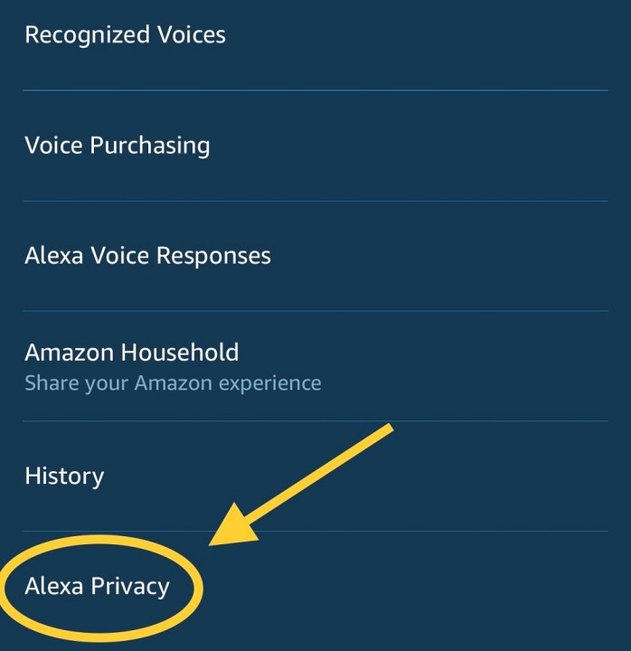 Enable Alexa privacy settings.