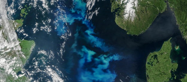 Algae bloom, Geoengineering using Ocean Fertilization