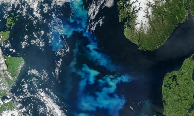 Algae bloom, Geoengineering using Ocean Fertilization