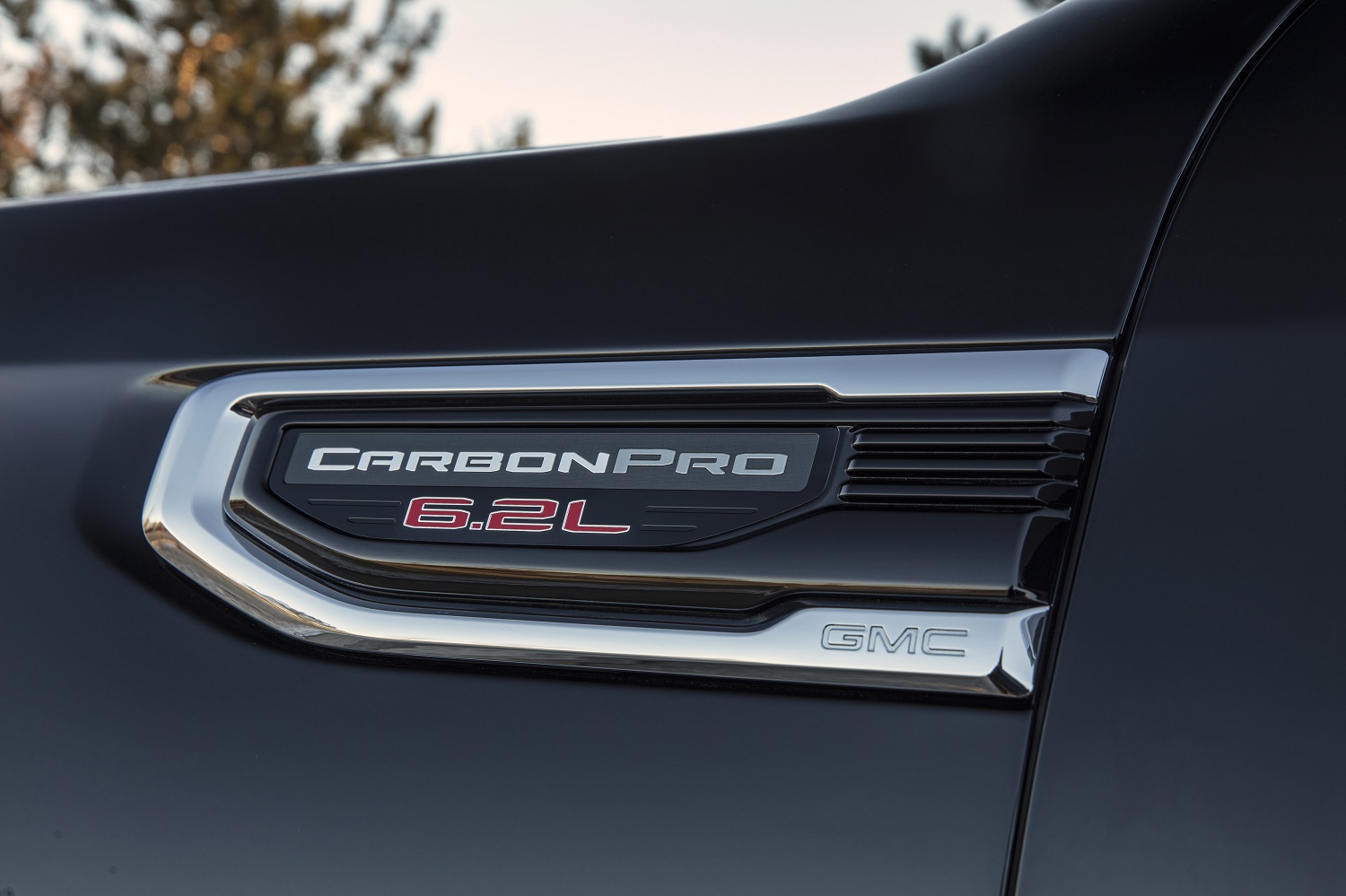 2019 GMC Sierra Denali CarbonPro