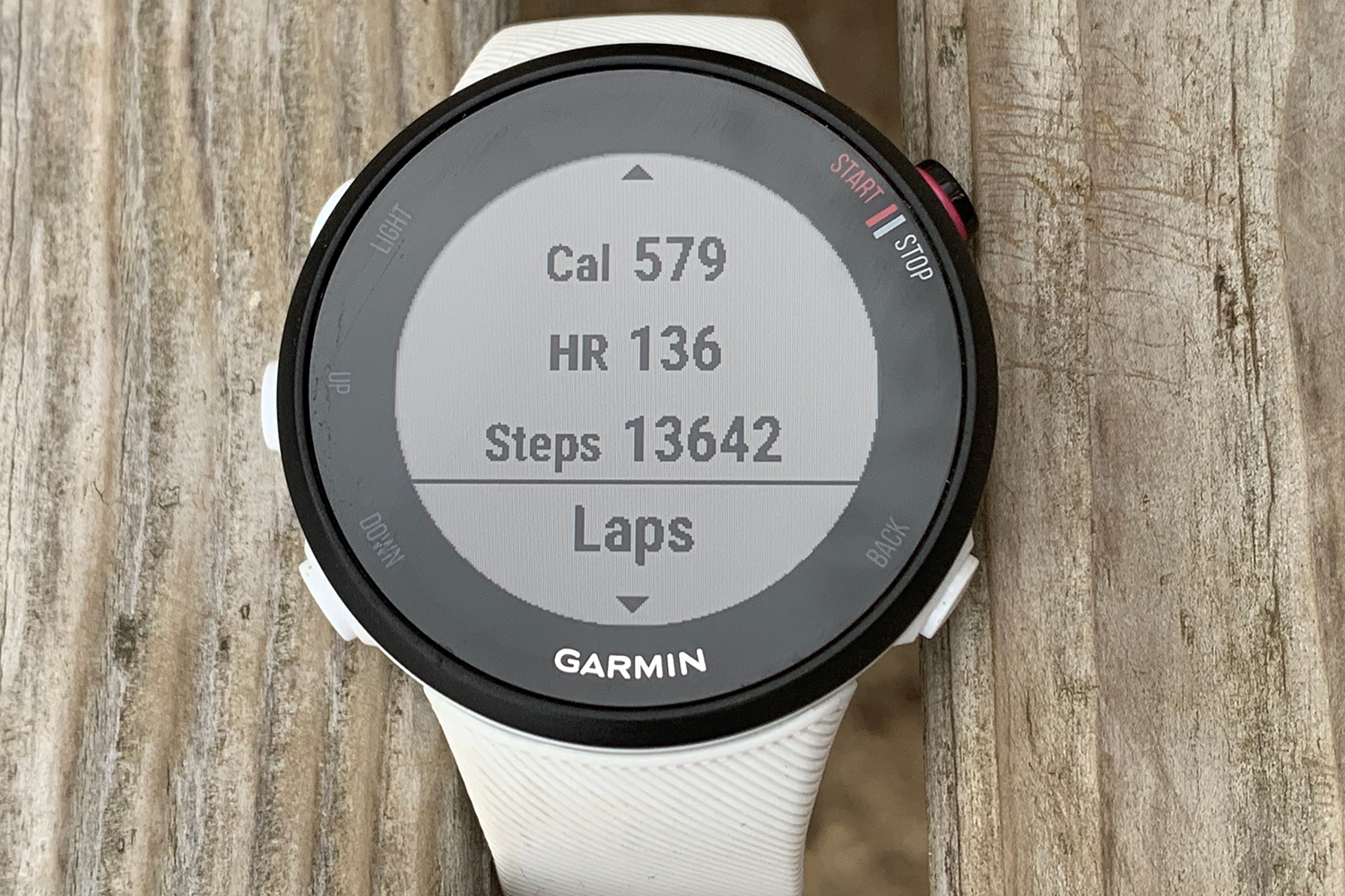 Garmin Forerunner 45S Review: The Perfect Fitness Watch For New