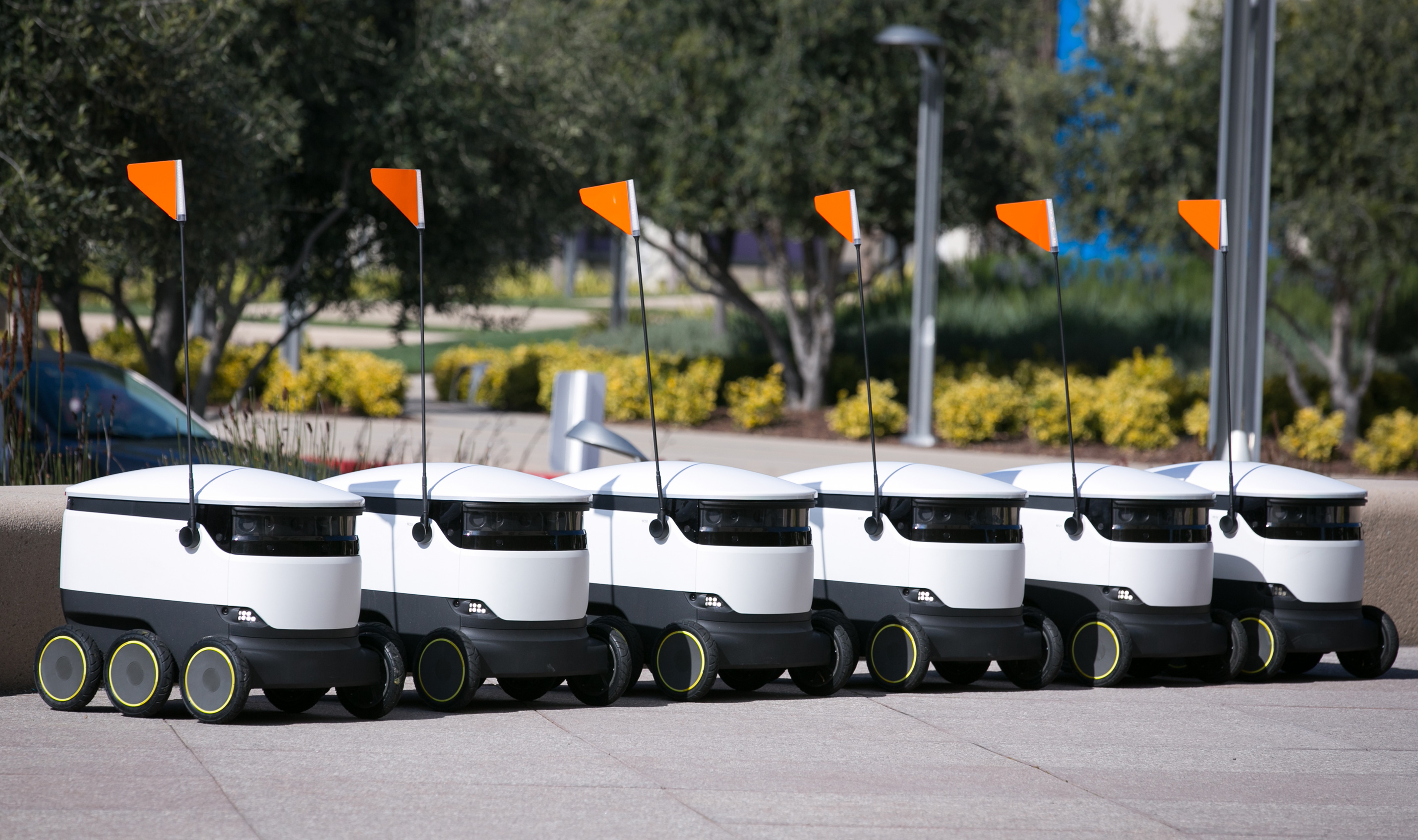 starship delivery robots line up