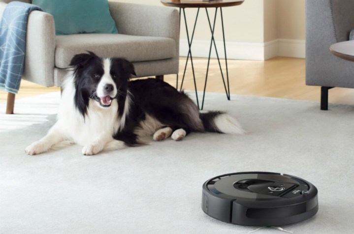 Roomba i7+ alerting a dog.