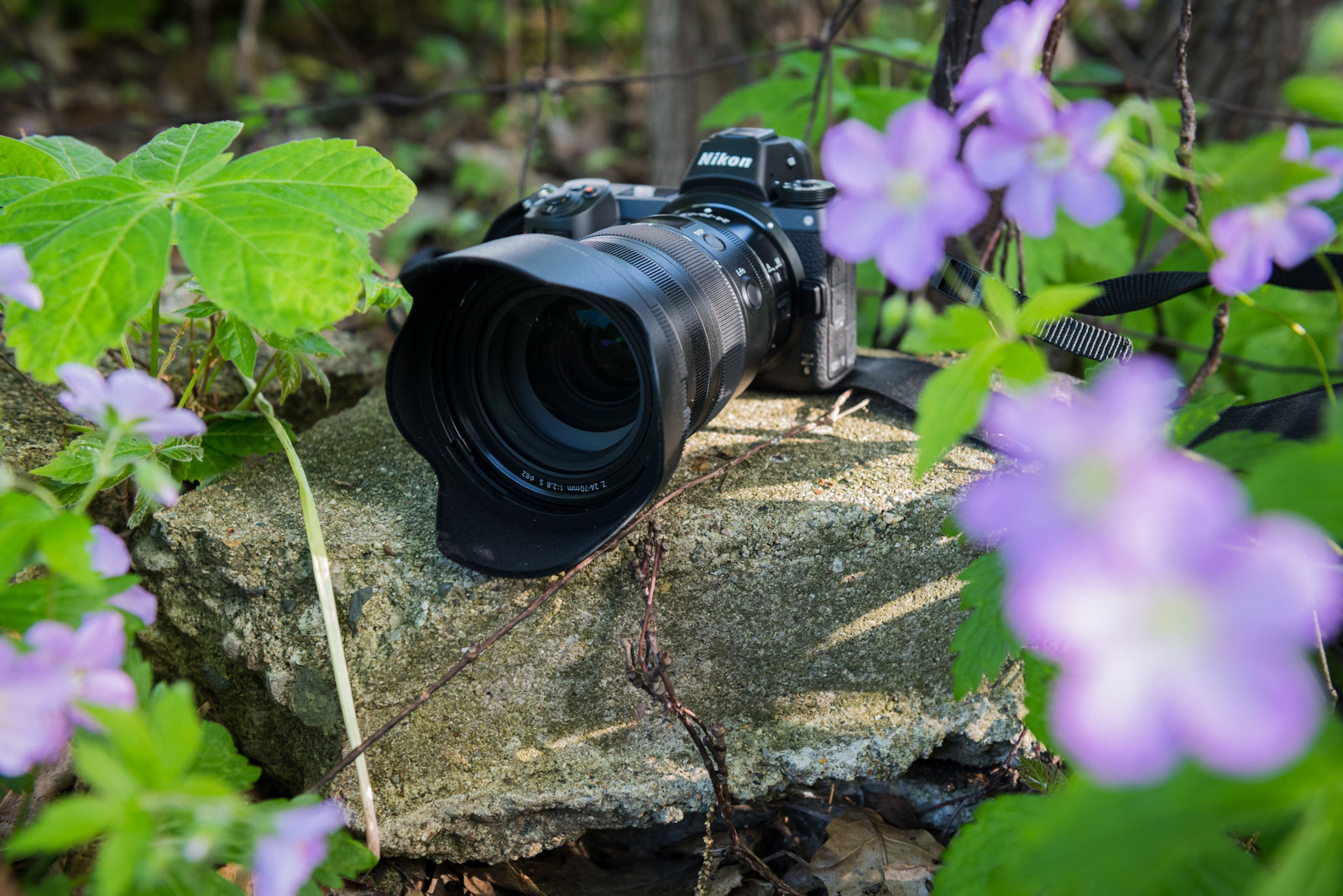 Nikon Z 24-70mm F2.8 S field review: Digital Photography Review