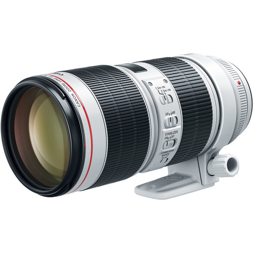 Elastisch consultant toenemen The Best Canon Lenses | Digital Trends