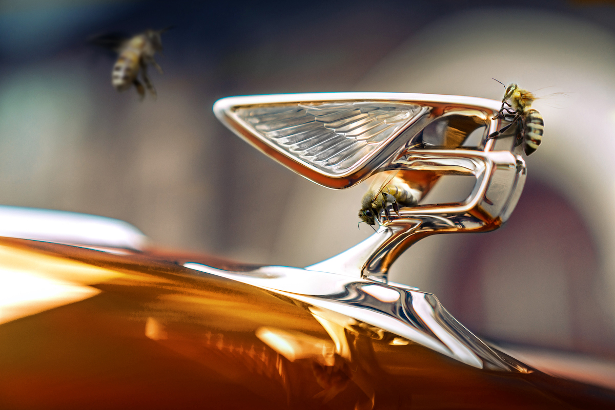 bentley motors creates a buzz as it enters the honey business bees 1