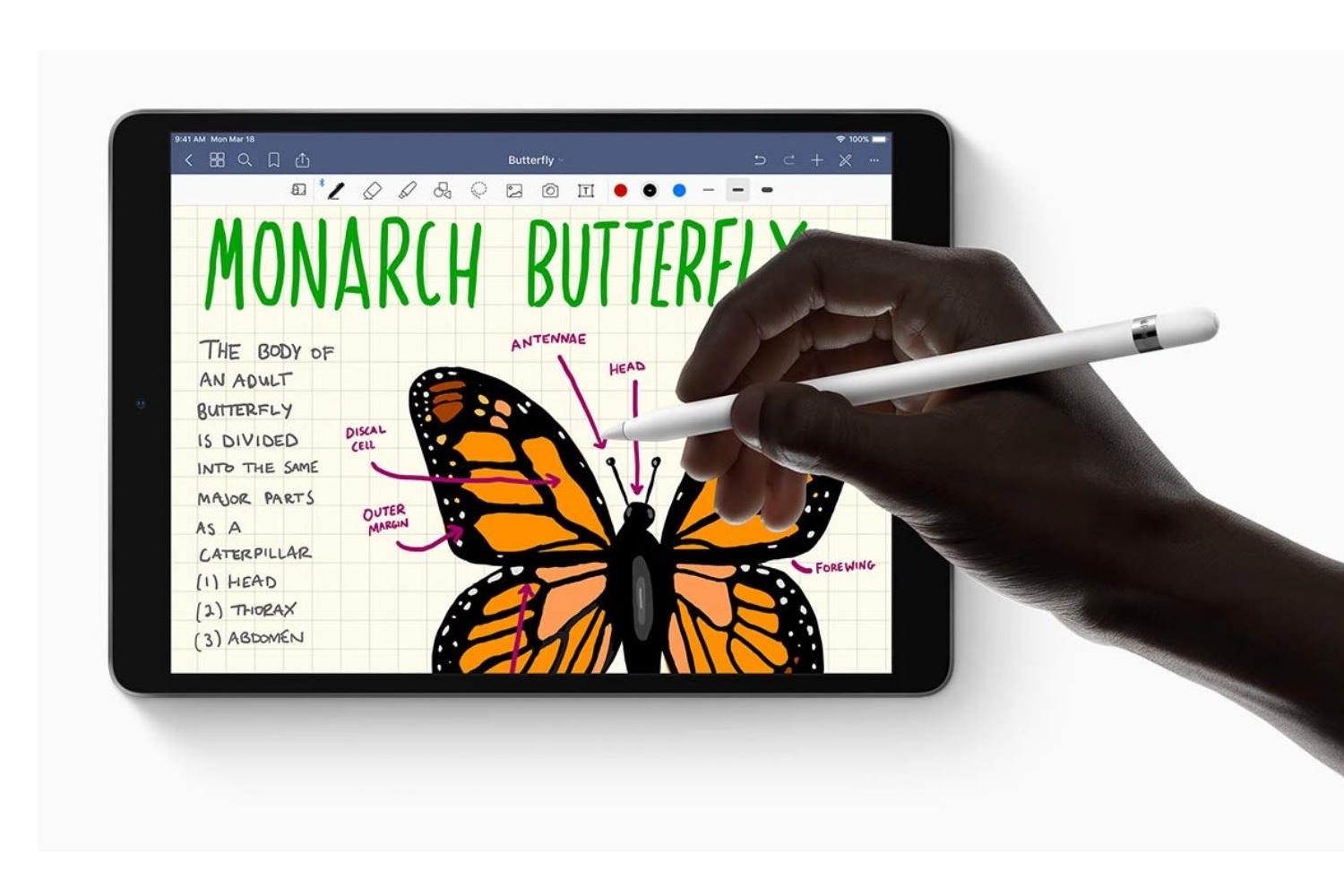 Silhouettenhand, die einen Schmetterling auf einem iPad Air 2019 zeichnet. 