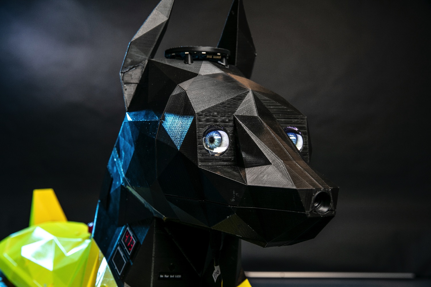 astro dog robot image 2
