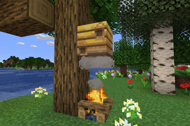 Wie man einen Bienenstock in Minecraft bewegt
