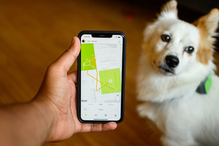 Pet tracker app.