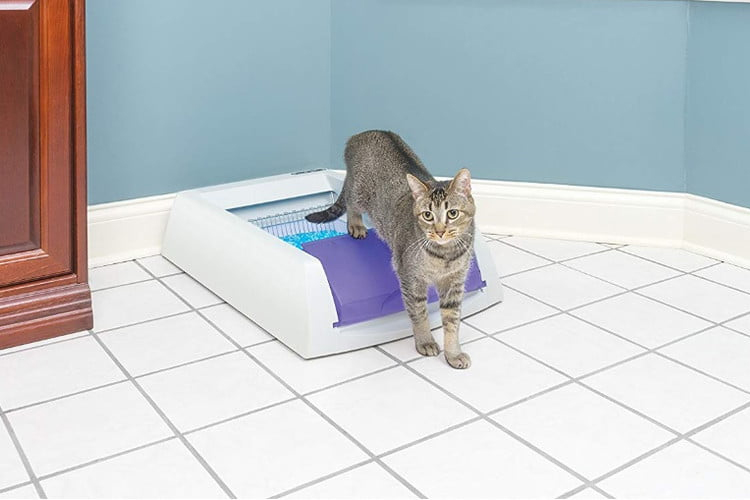 A caixa de areia para gatos PetSafe ScoopFree Ultra Self-Cleaning.