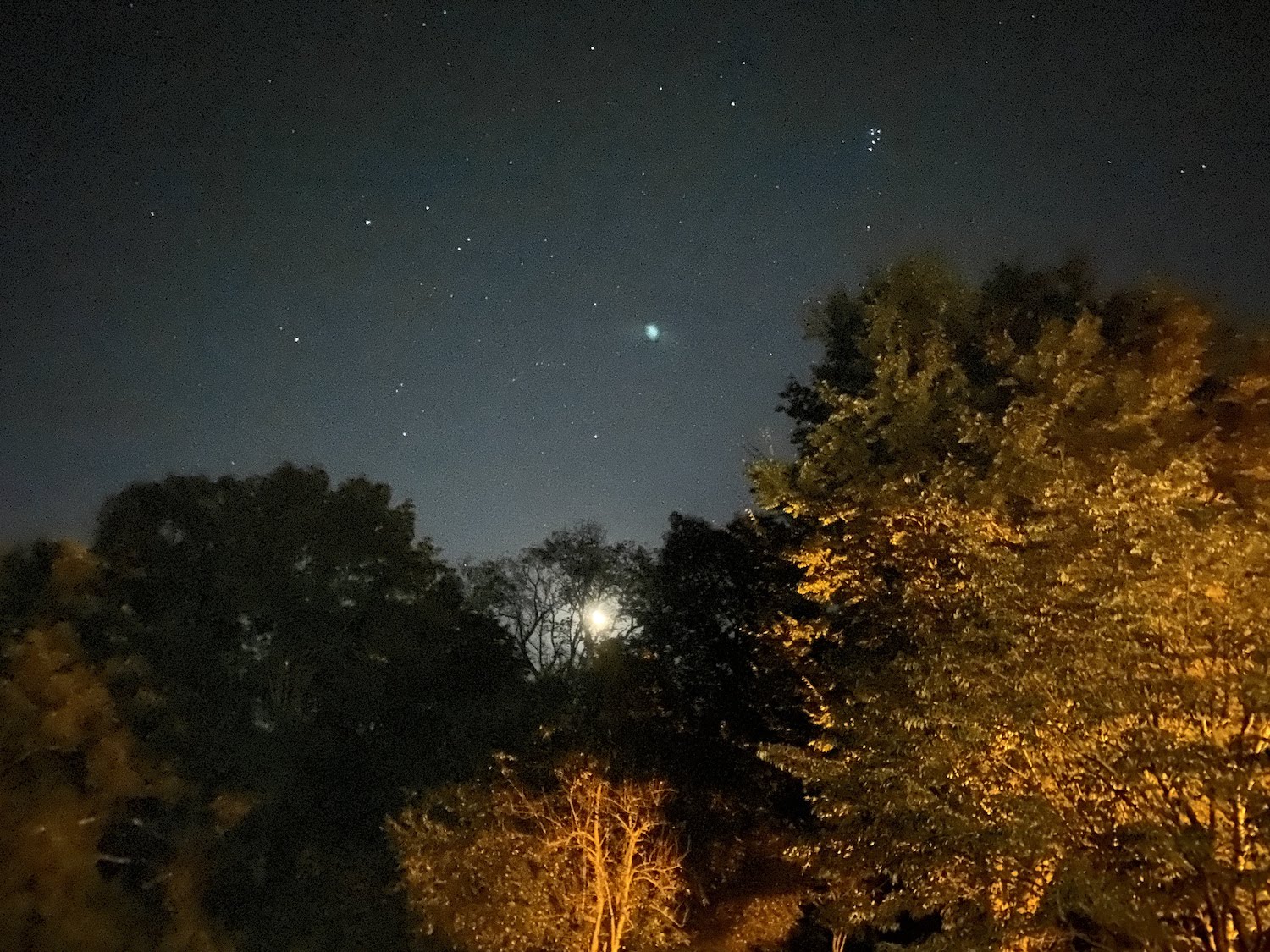 iphone 11 pro review night sky camera sample