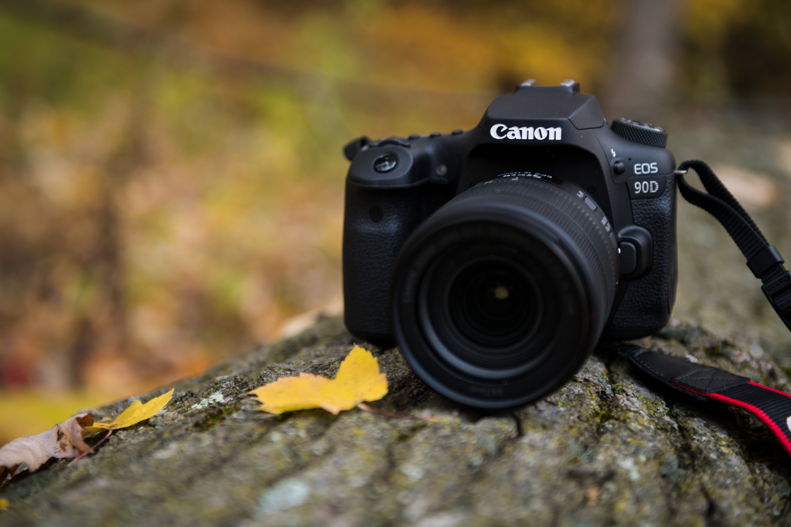 Hands-on with the Canon EOS 90D: Digital Photography Review
