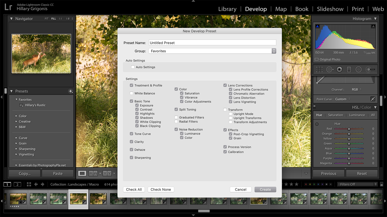 Screenshot of presets creation menu in Adobe Lightroom Classic CC