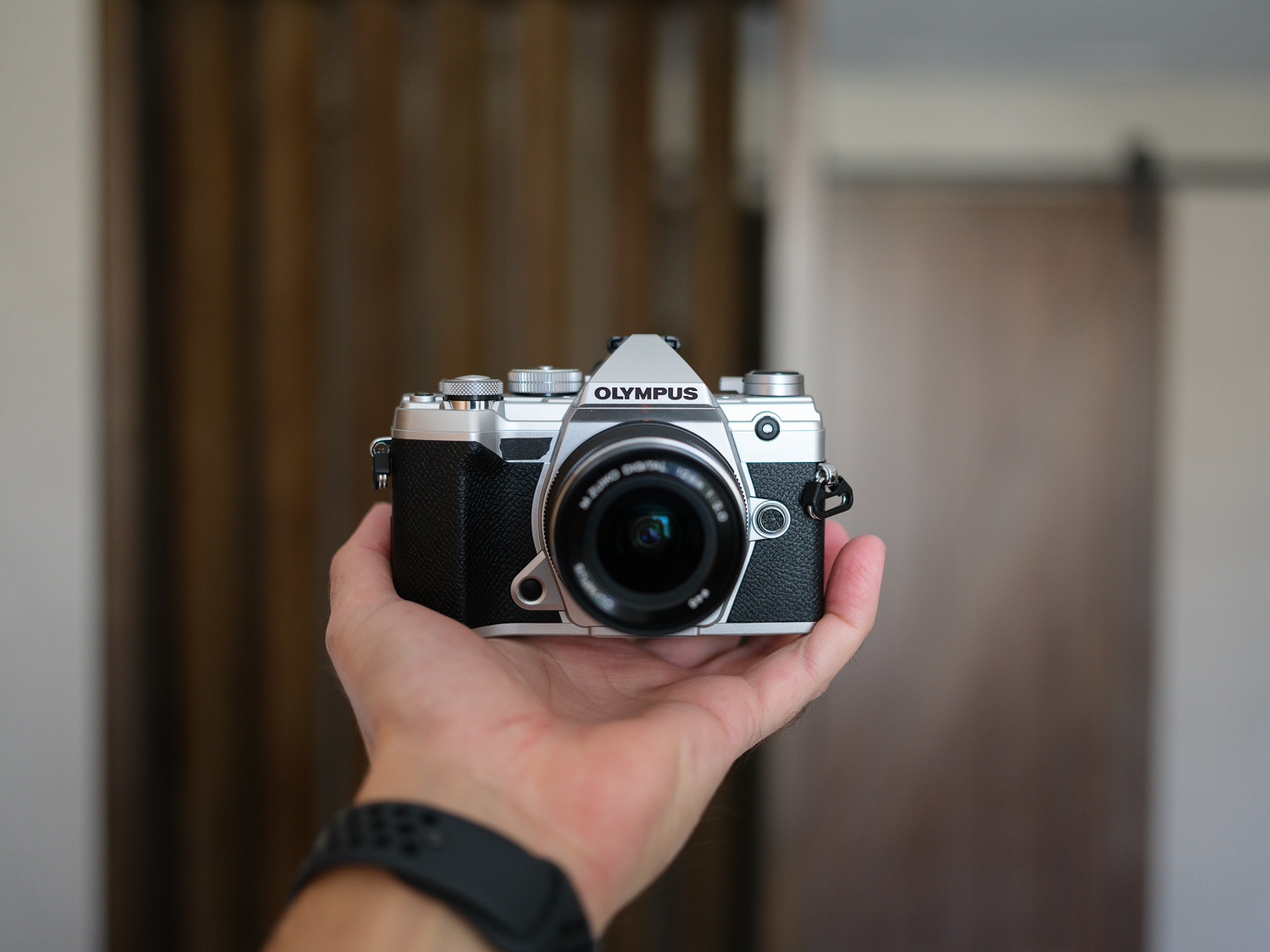 pion verlies uzelf het is nutteloos Olympus OM-D E-M5 Mark III Review: Still the Camera to Buy | Digital Trends