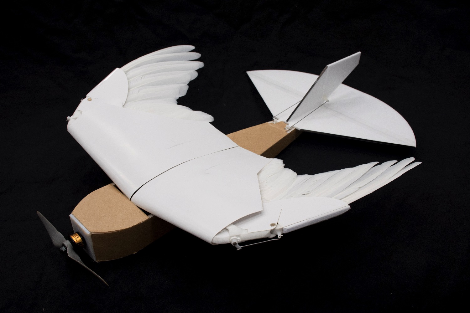 pigeon bot feather drone takes flight dl0 7394