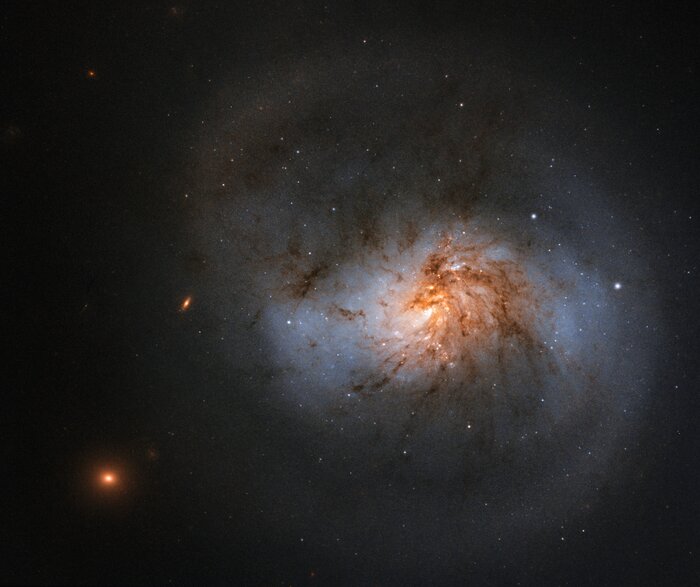 The galaxy NGC 1022
