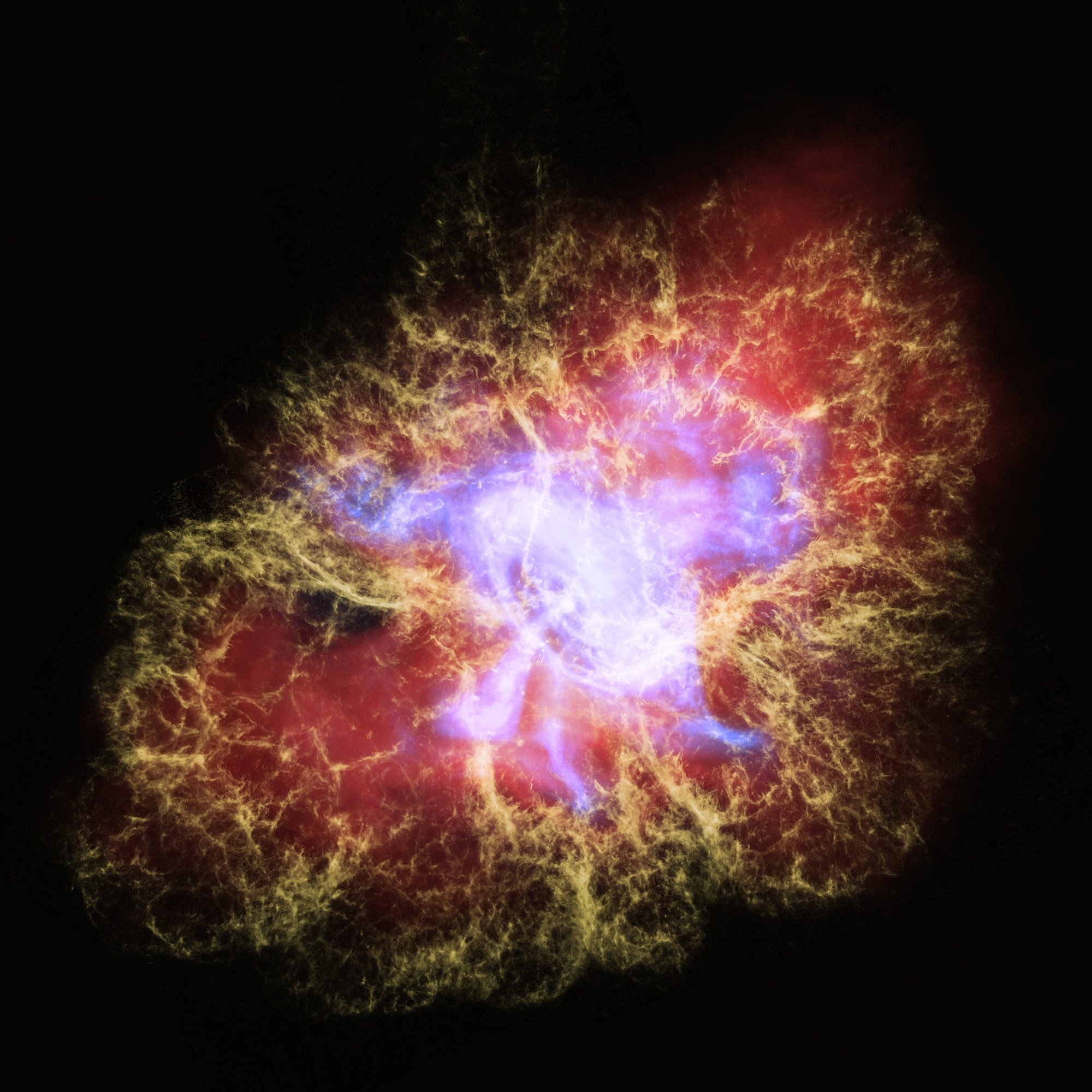 A multiwavelength image of the Crab Nebula