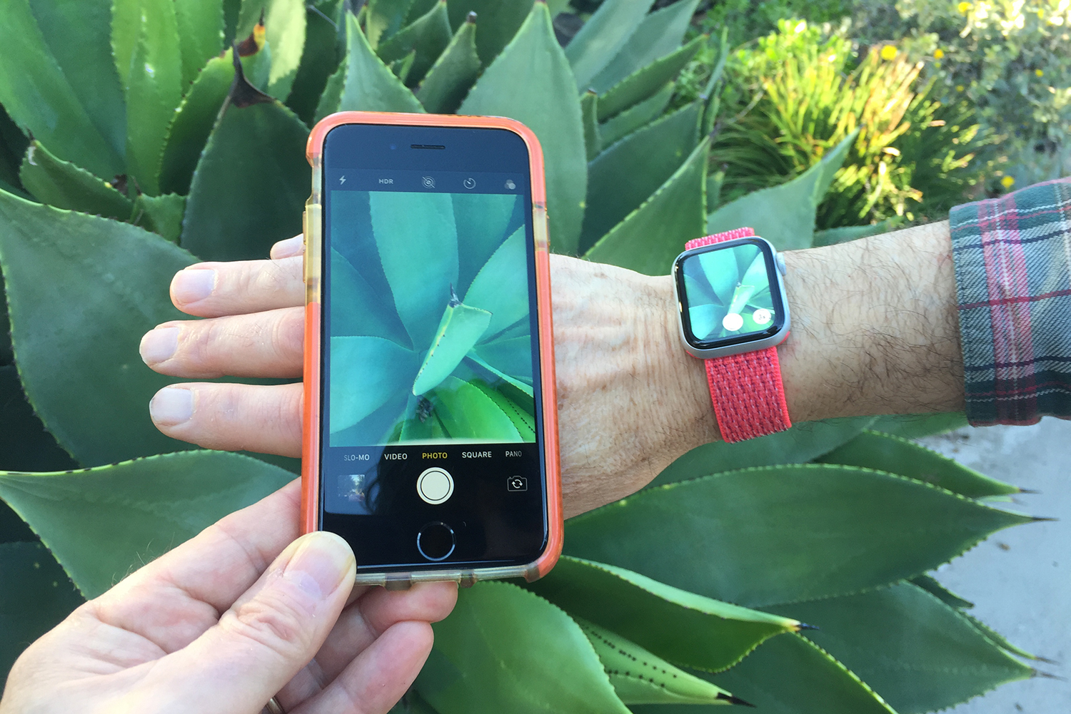 How To Use An Apple Watch To Control Your IPhone Camera Digital Trends How To Use An Apple Watch To Control Your IPhone Camera Digital Trends