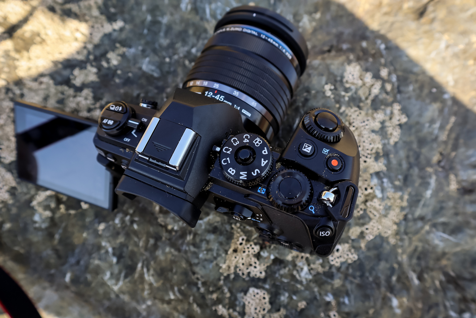 Olympus OM-D E-M1 Mark III Vs. OM-D E-M1 Mark II: Worth the 