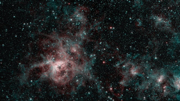An image from NASA's Spitzer Space Telescope showing the Tarantula Nebula