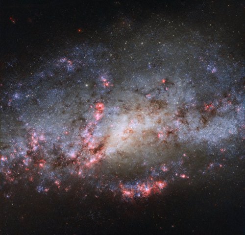 This Hubble image shows the galaxy NGC 4490.
