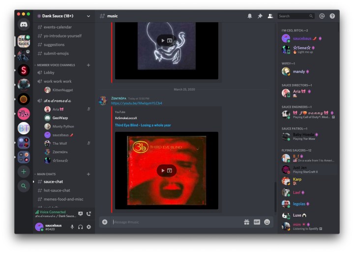 A Discord voice chat room.