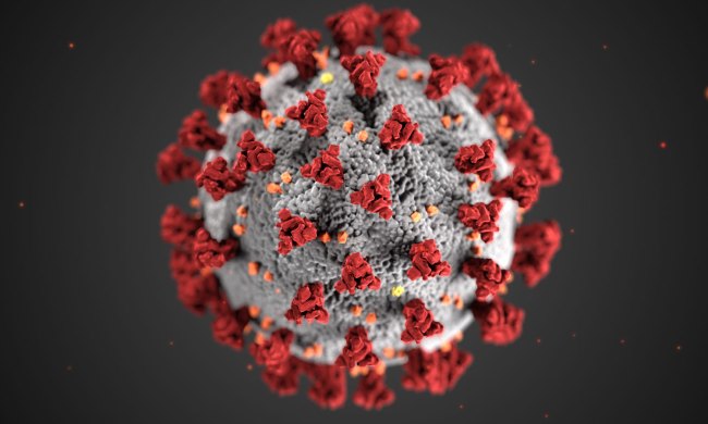 Coronavirus Simulation