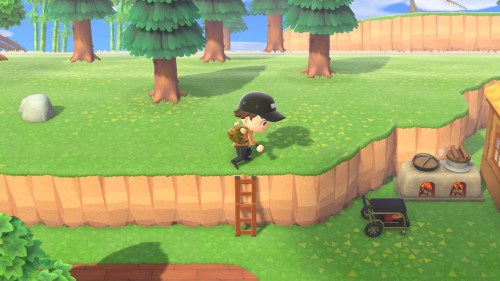 animal crossing new horizons how to get ladder