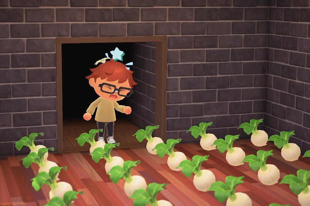 Animal Crossing New Horizons: Turnips and Stalk Market Guide | Digital  Trends