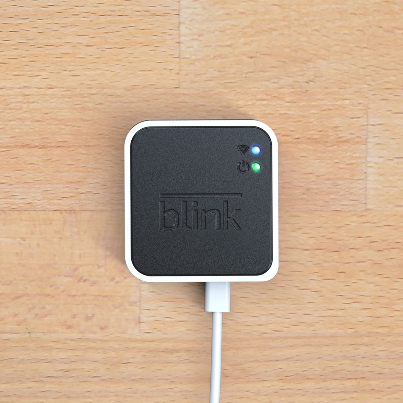 Módulo Blink Sync pronto para conectar.