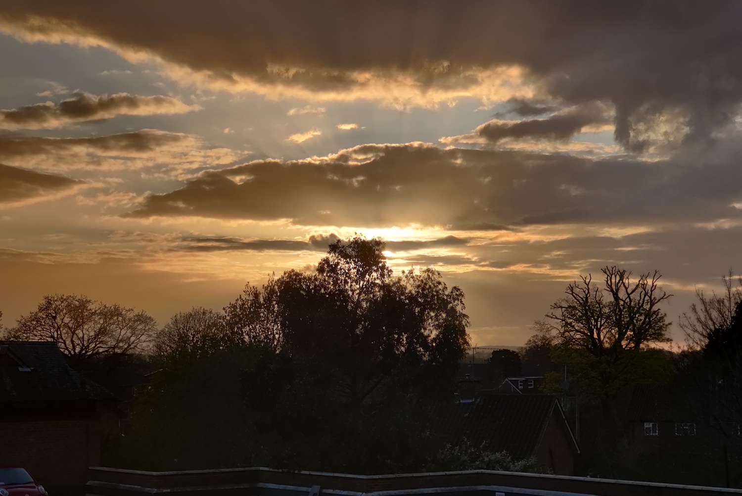 oneplus 8 pro review sunset