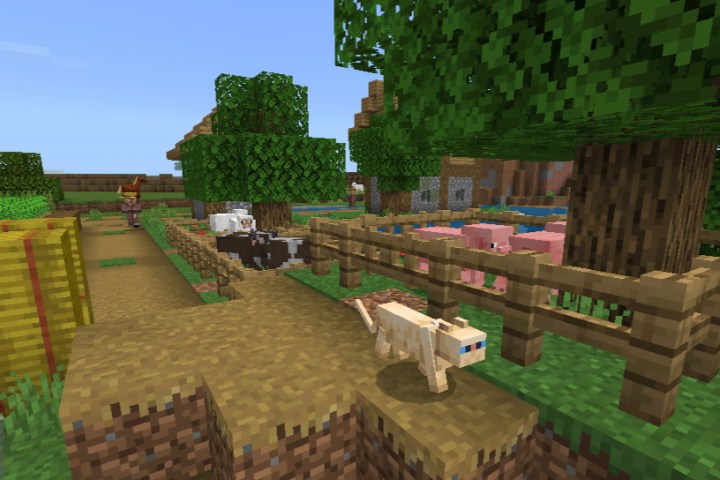 How to tame a cat in Minecraft | Digital Trends