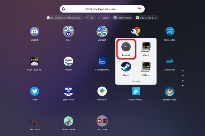 Chromebook Terminal Linux
