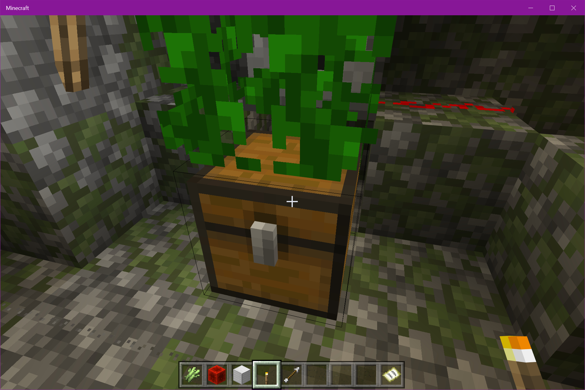 Minecraft Jungle Temple Chest