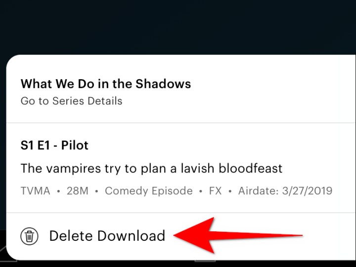 Hulu screen shwing hos to delete downloaded content.
