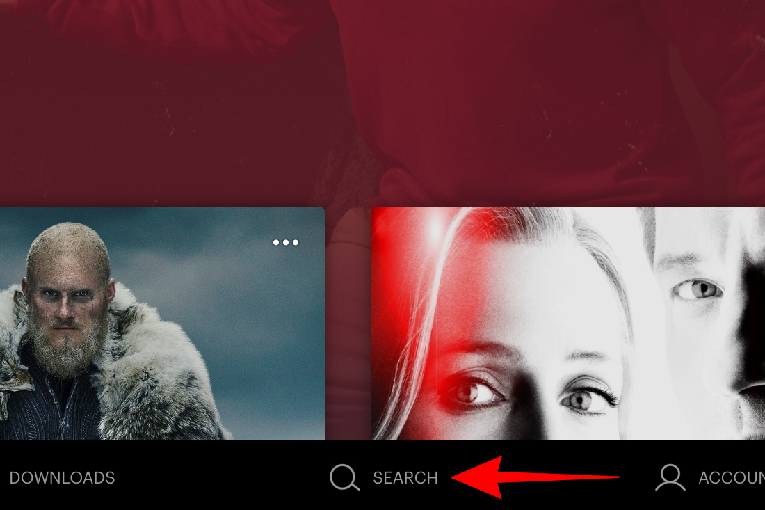 Hulu Search Icon.