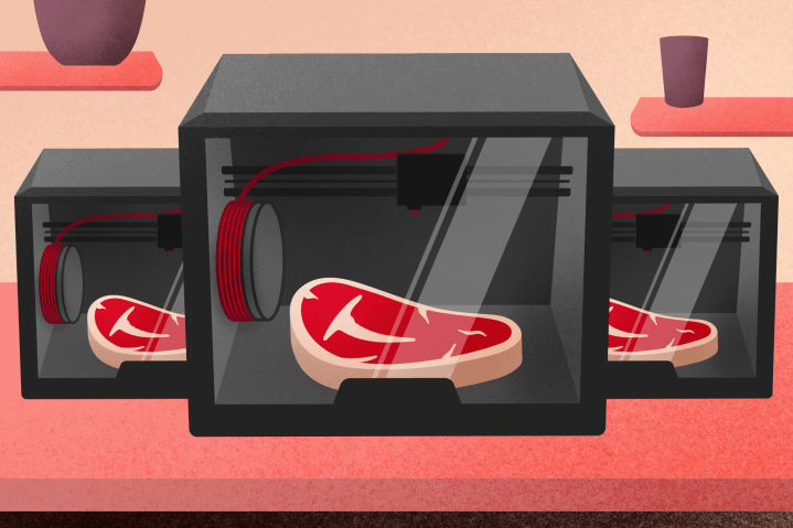 3D printed steak