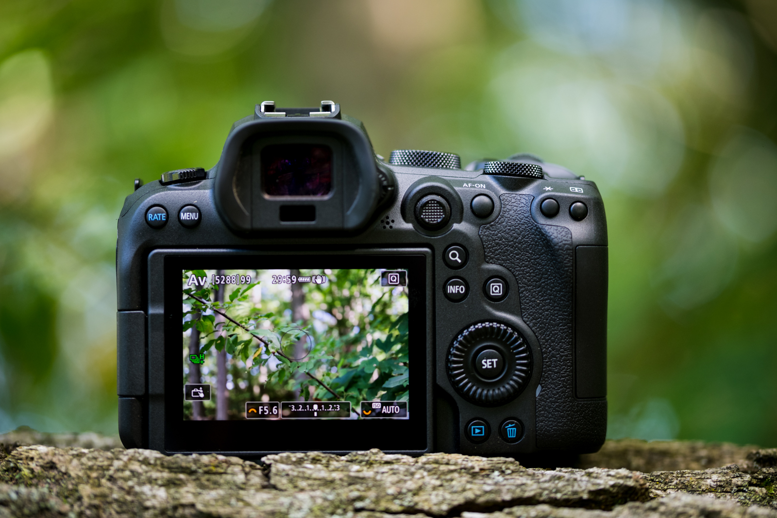 Uma câmera sem espelho Canon EOS R6 instalada na floresta.
