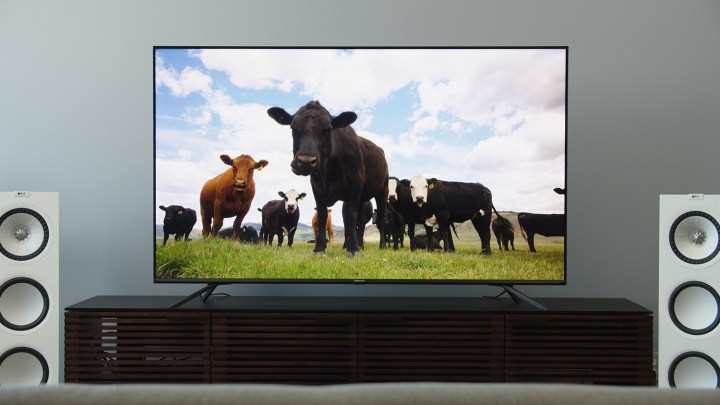 hisense h8g quantum 4k hdr tv review ott 00 01 54 09 still013