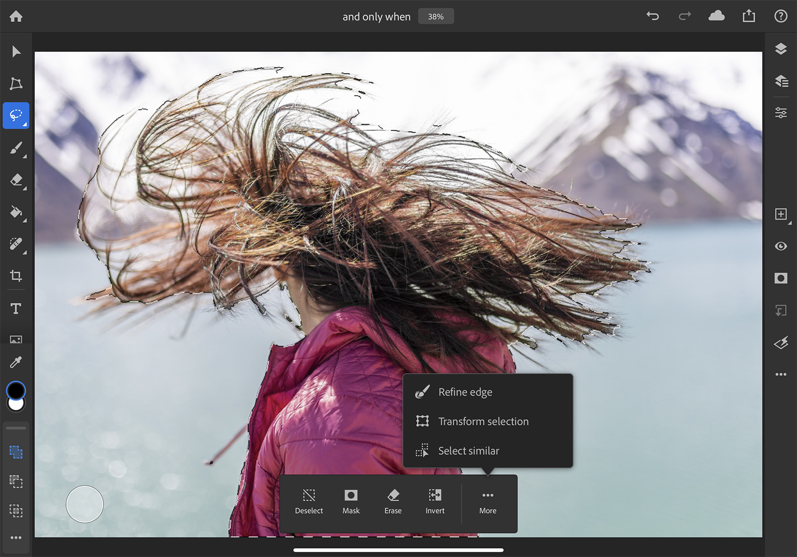 how to use photoshop for ipad refine edge selection hair copy