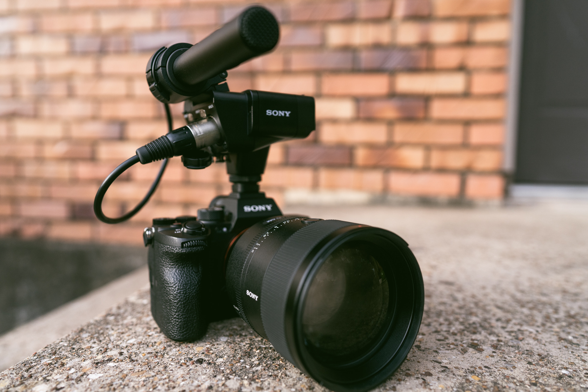 Best Camera for  Videos — Top 5 Video Camera Reviews 