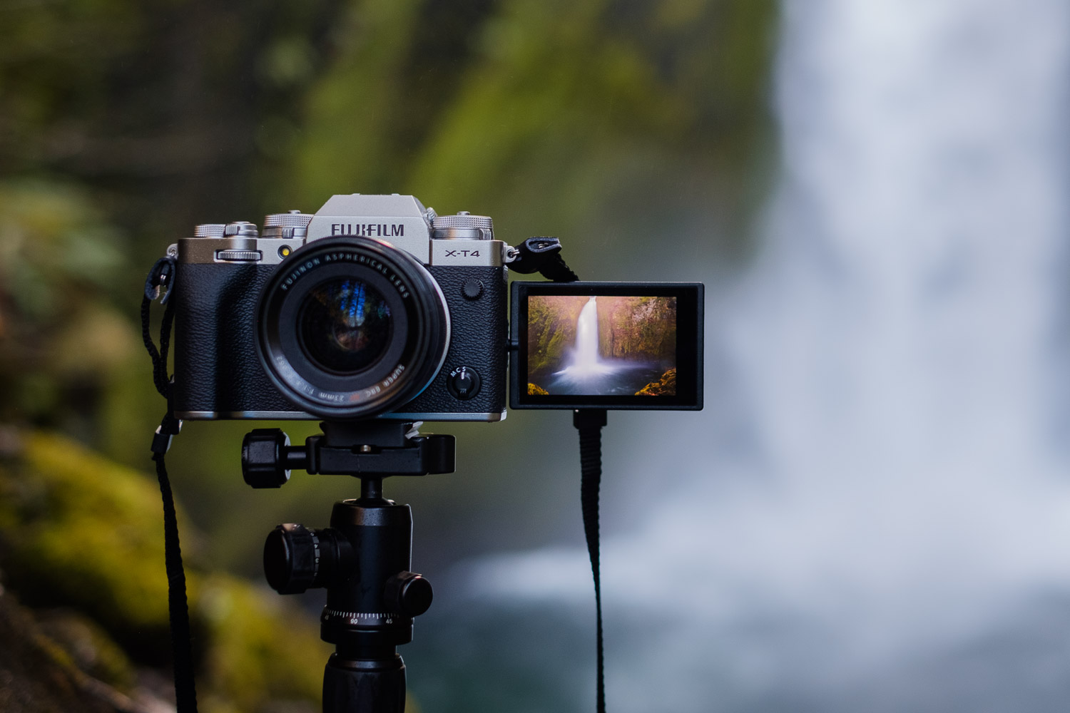 Fujifilm X-T4 Review: A Perfectly Balanced Camera